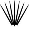 favicon-96x96